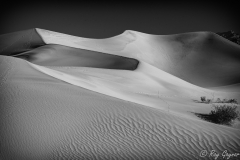 Death Valley_Mesquite Dunes 3 B