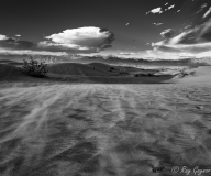 Death Valley_Mesquite Dunes 5 B