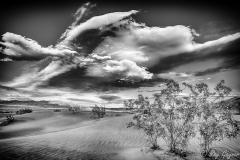 Death Valley_Mesquite Dunes Last Light B