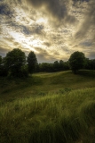 LTC-13-The-Summer-Evening-Offield-Family-Viewlands-–-Michigan