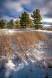 LTC-14-Golden-Hour-on-the-Winter-Pond-Offield-Family-Viewlands-–-Michigan