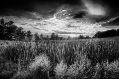 LTC-2-The-Pond-4-Offield-Family-Viewlands-–-Michigan