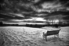 LTC-20-View-from-the-Bench-Offield-Family-Viewlands-–-Michigan-B