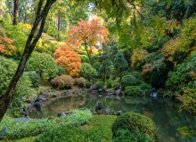 8-Tranquility-Japanese-Gardens