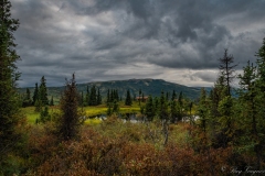 Camp-Denali-Denali-NP