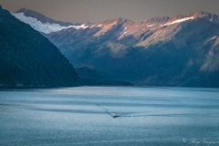 Home-for-the-Night-–-Passage-Canal-Whittier-AK