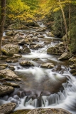 Smoky-Mts_Mountain-Stream